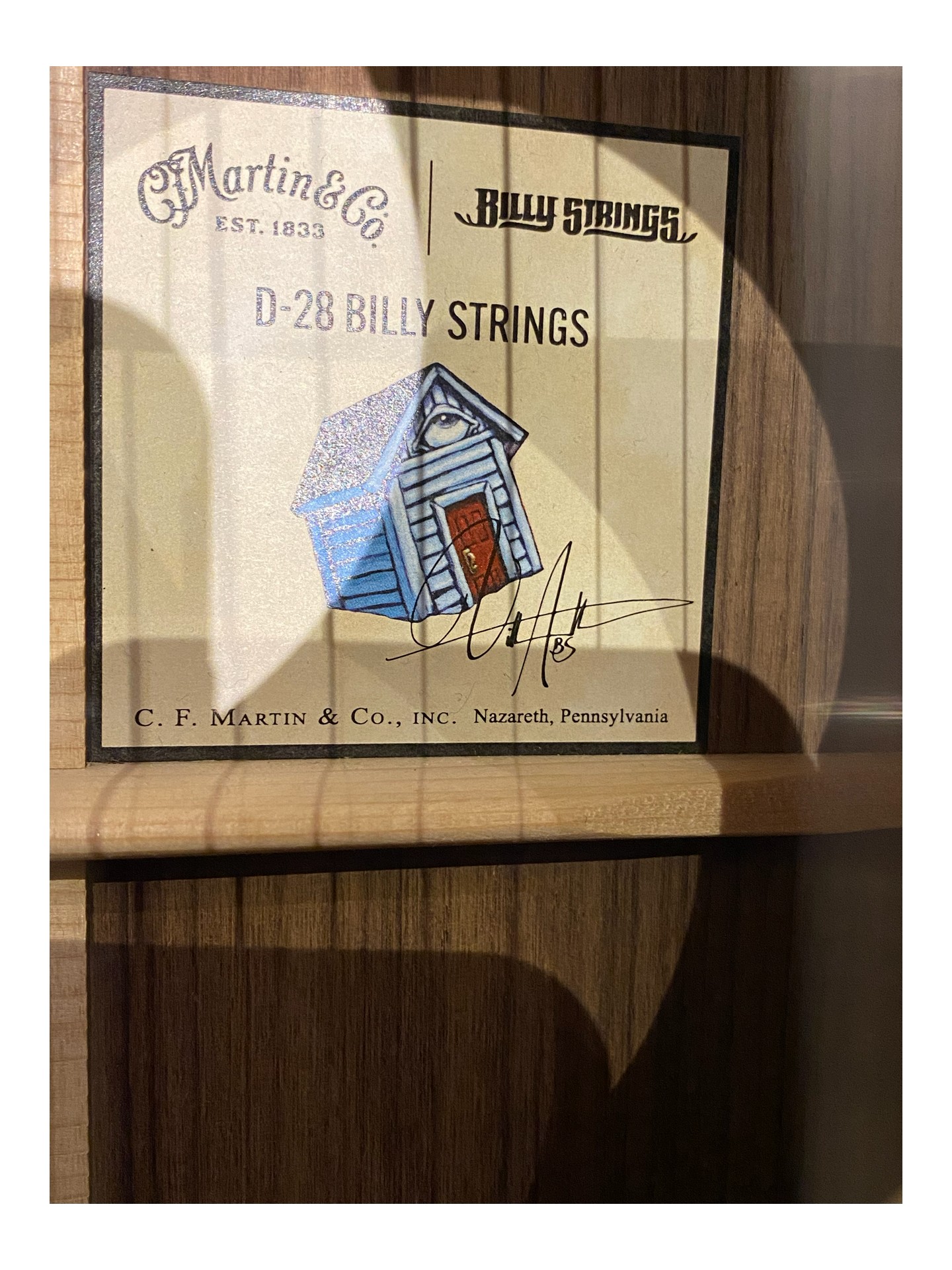 MARTIN D-28 BILLY STRINGS SIGNATURE de 2024