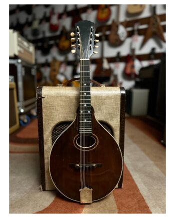 GIBSON MANDOLIN A SHERATON BROWN de 1920