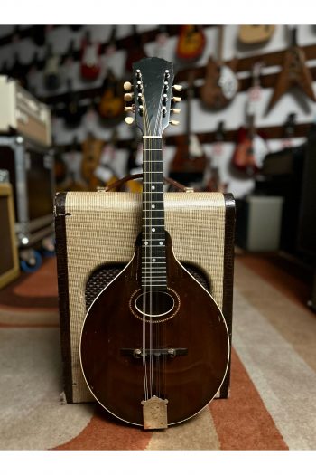 GIBSON MANDOLIN A SHERATON BROWN de 1920