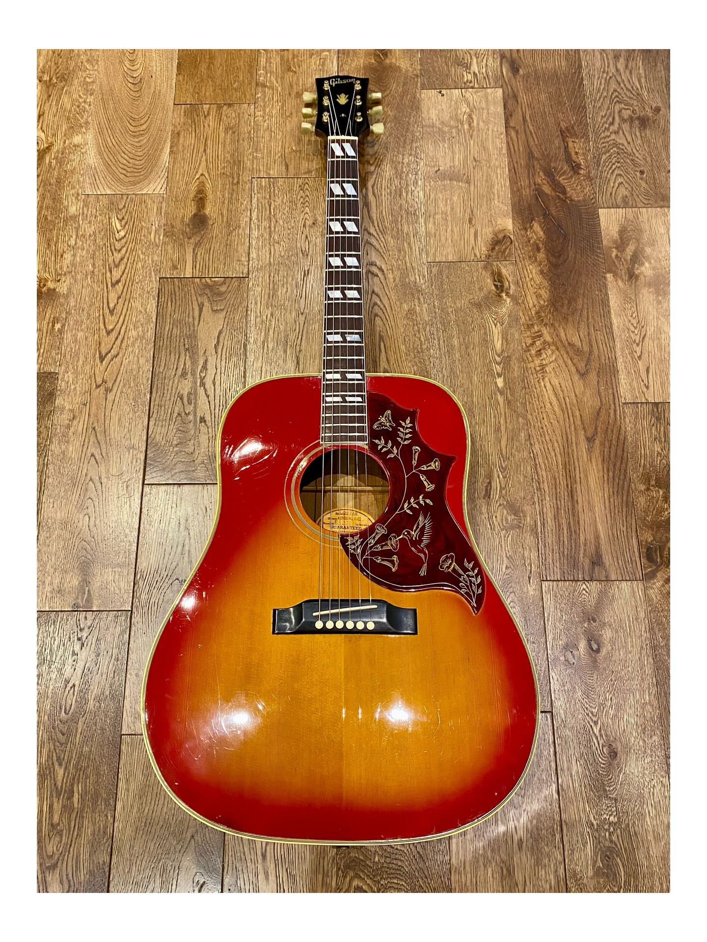 GIBSON HUMMINGBIRD de 1966