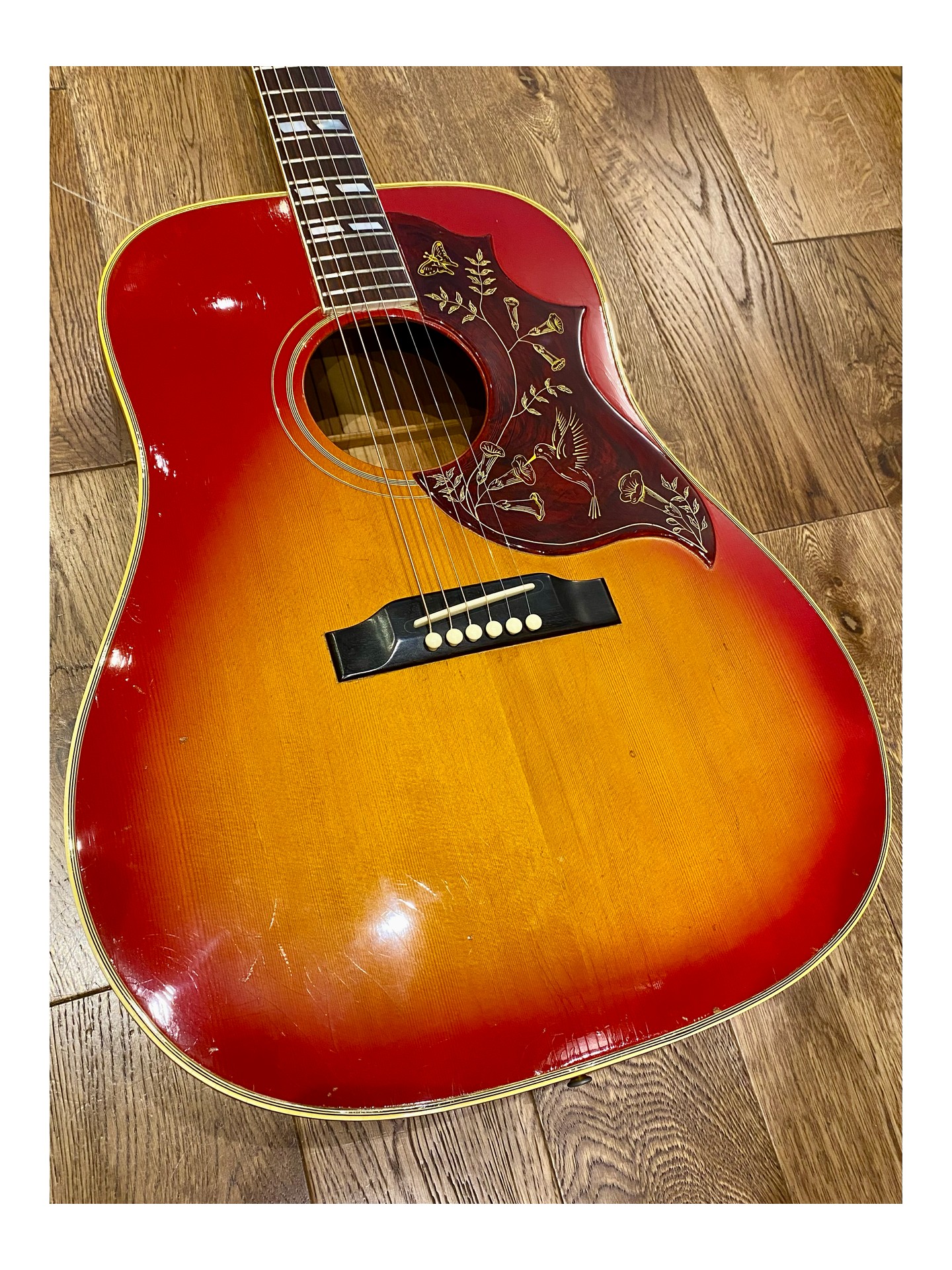 GIBSON HUMMINGBIRD de 1966
