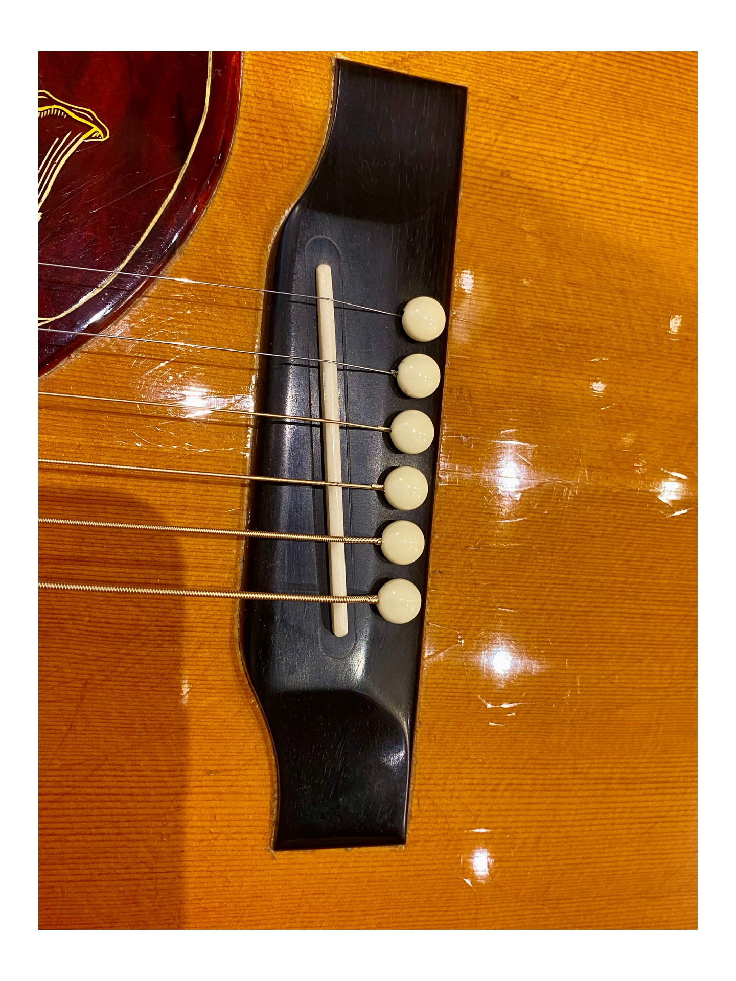 GIBSON HUMMINGBIRD de 1966