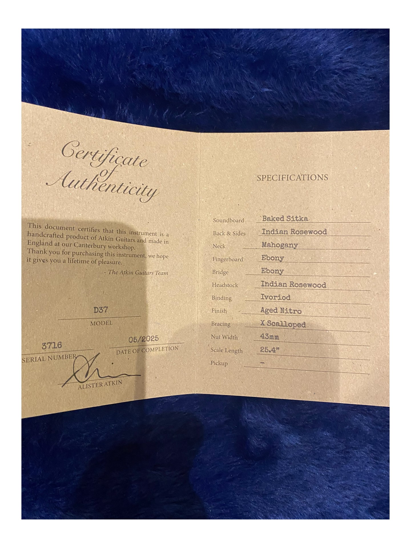 ATKINS D37 AGED NATURAL de 2025