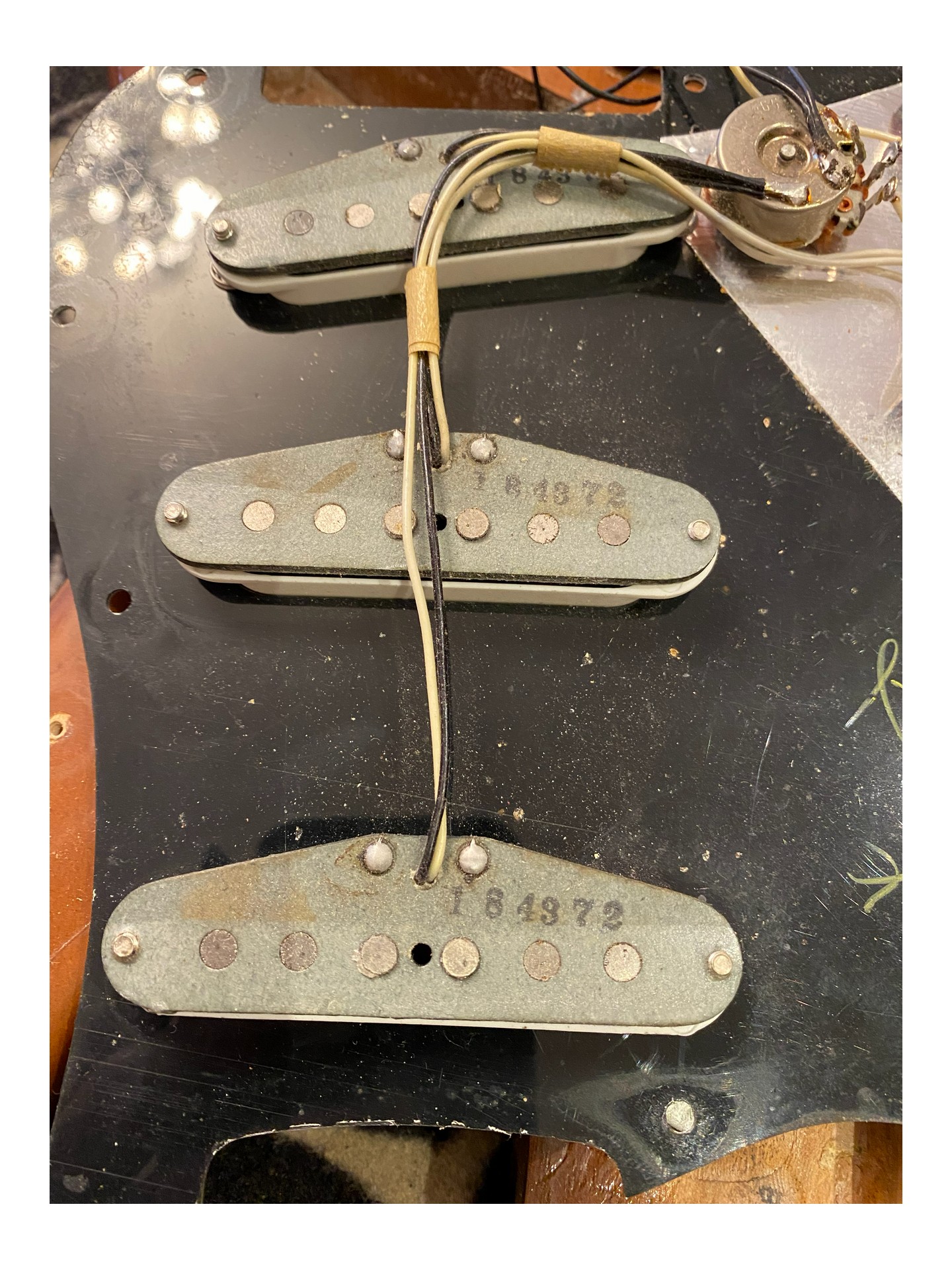 FENDER STRATOCASTER WALNUT de 1972