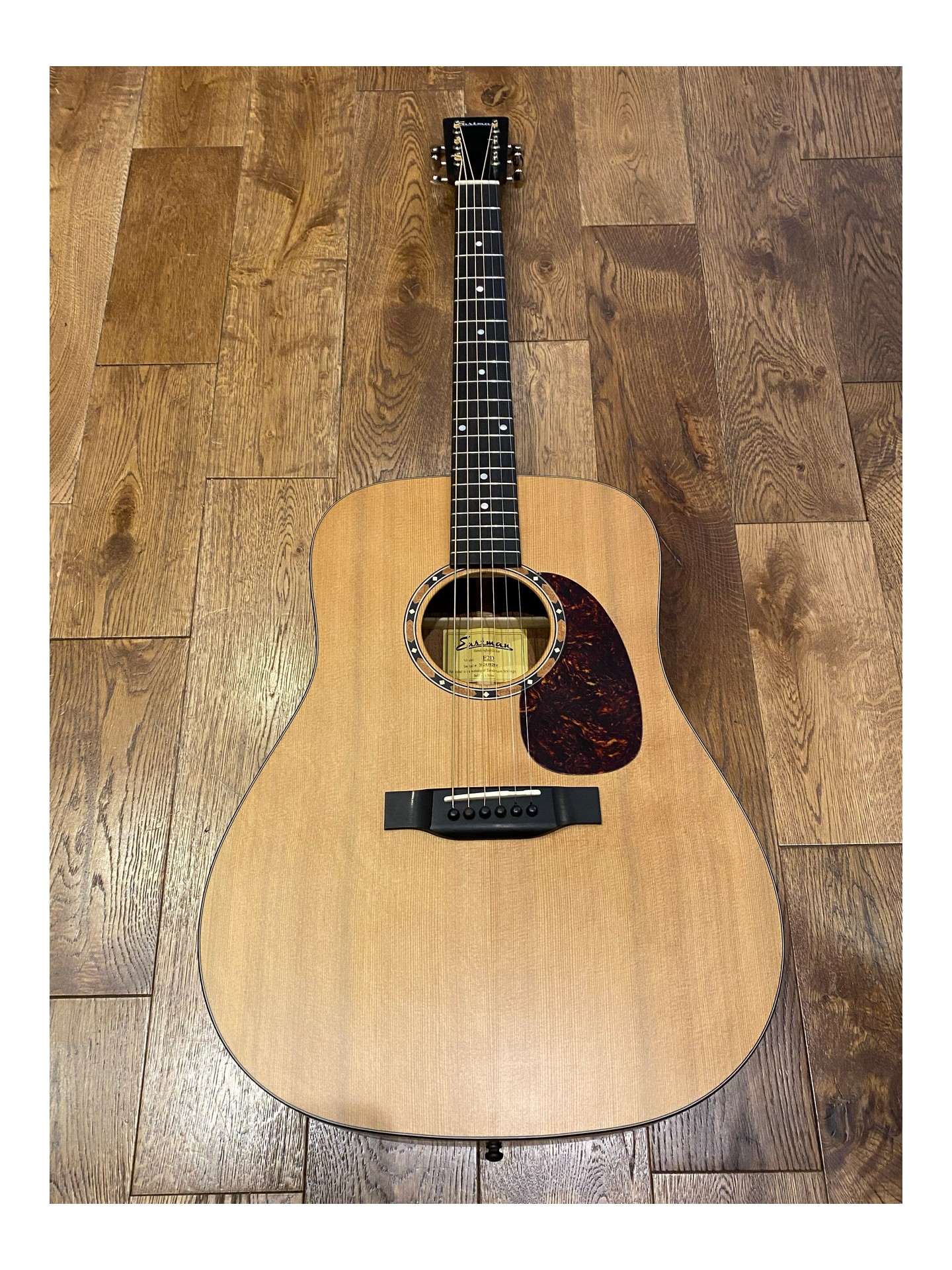 EASTMAN E2D de 2024