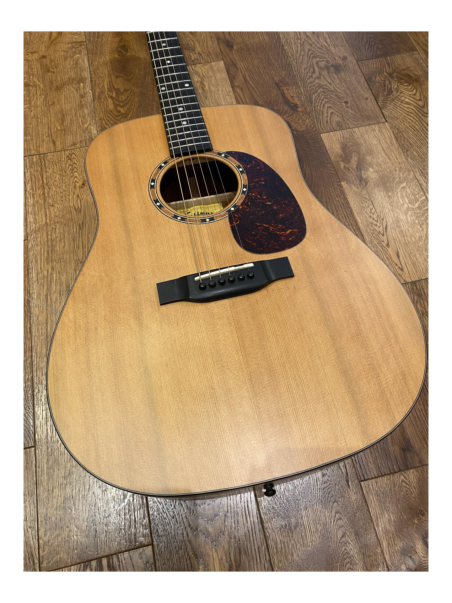 EASTMAN E2D de 2024