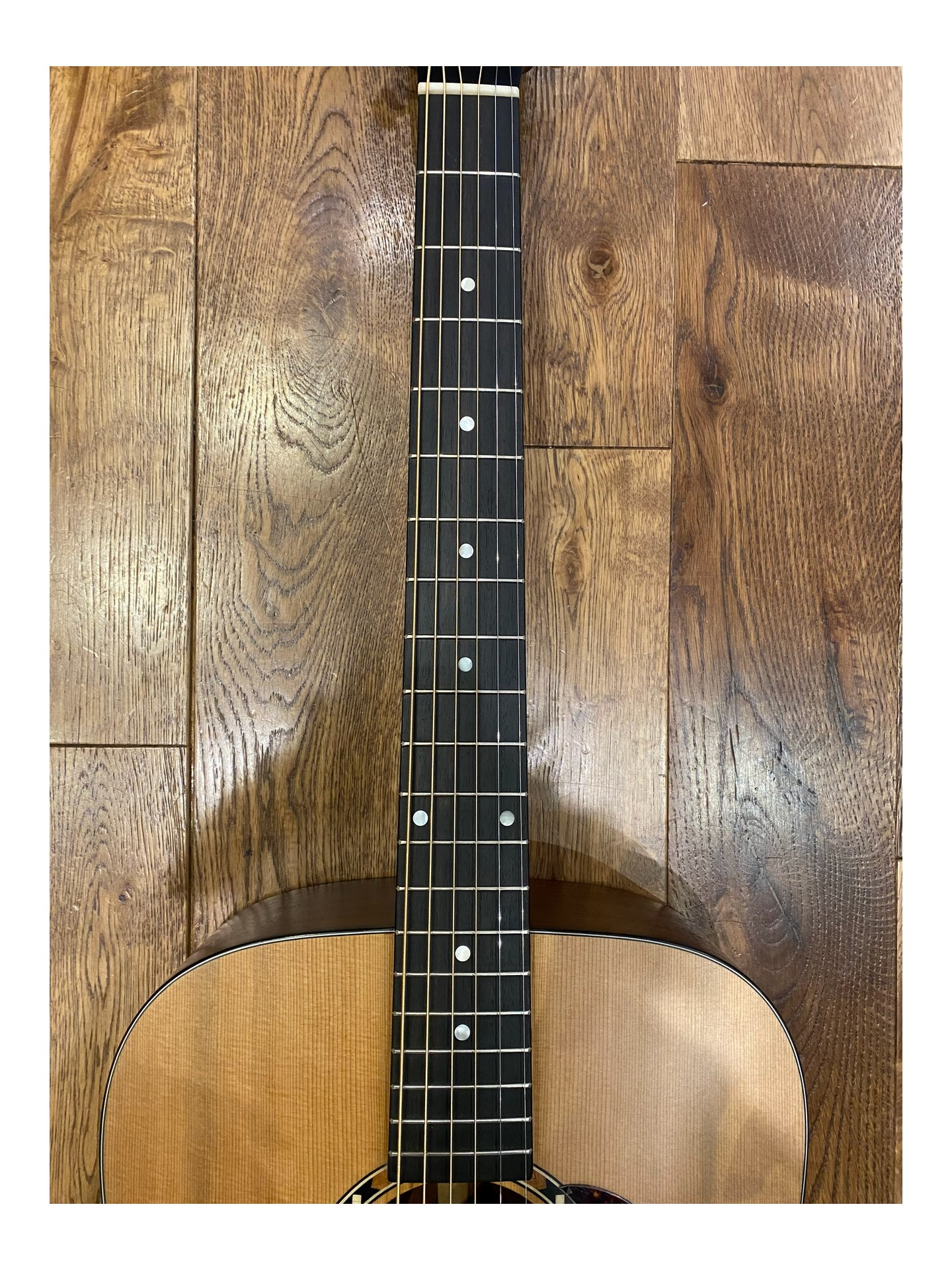 EASTMAN E2D de 2024