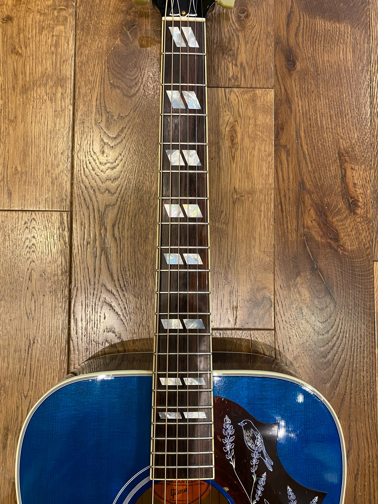 GIBSON Miranda Lambert Bluebird Bluebonnet 2023
